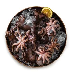 자연산 손질 통 주꾸미 500gX6팩(총 3kg)