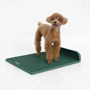 [독톡] 강아지 L배변판 패드없이 사용