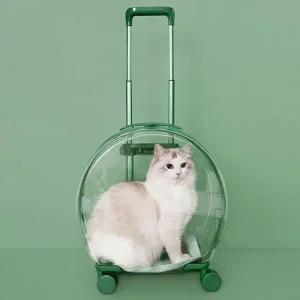 [콩심팥심]애완동물 가방 캐리어 이동장 이동 고양이 강아지
