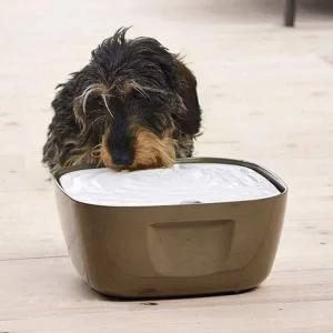 정수기 애견 급수기 2.5L 강아지 물통 반려견 물급수기 식기