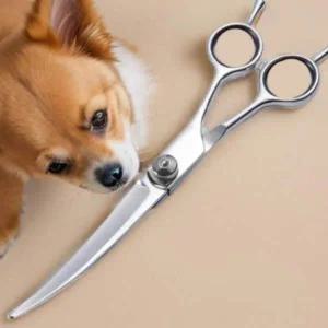 애완동물 미용 가위 셀프컷 펫 헤어컷 3종