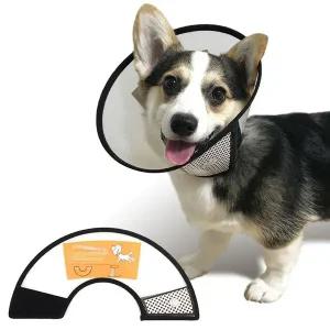 [골드스마일]강아지 목보호대 7호 넥카라 깔대기 핥기방지 애견 고양이목보호