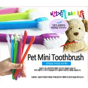 쥬쥬베 미니칫솔1p 강아지칫솔 고양이칫솔