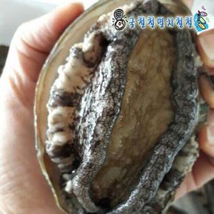 완도 활전복1kg중짜대짜 특대짜 8~17미선택가능 황금보자기 당일조업
