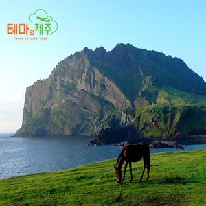 제주도버스투어패키지|2박3일제주여행|항공+호텔+관광입장료+식사포함