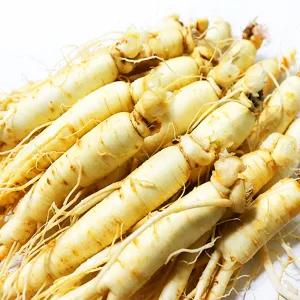 가정용 햇 수삼 세척인삼 원삼 [中] 12-14편 600g