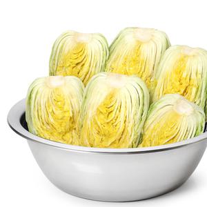 퀸센스 대용량 스텐 다라이 55cm 김장 믹싱볼 스텐볼