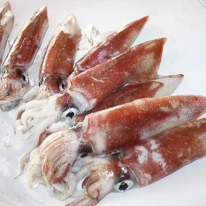 [고씨네수산]한치 제주도 생물 손질 한치 크기별(급냉) 손질전1kg내외