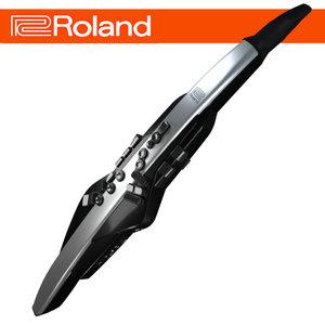 전자 색소폰 / 에어로폰 / 롤랜드 / Roland AE-30 PRO/ AE30 프로/케이블 등  4종 추가 제공