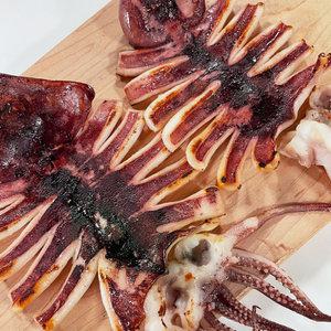 포항 구룡포 반건조 오징어 10미/총700g-1kg내외 원양산