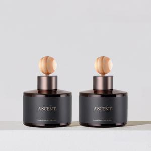 에이센트 네이처 차량용 방향제 디퓨저 120ml 2개입