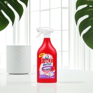 홈스타 뿌리는 곰팡이 싹 악취 세제 거품 청소 분사기 벽