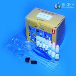 [더원사이언스] 금속의 반응성 실험 S.S.C 실험 2인 1조 참키트/금속의반응/과학교구/과학영재/방과후