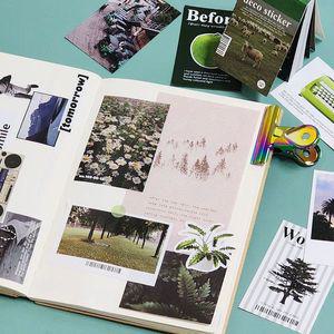 데코 스티커 북 50매 그린 WB44447