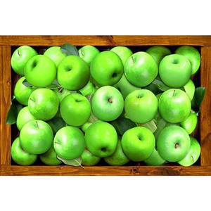 [RGL0391P]청사과 박스 패브릭형 보석십자수 40x60