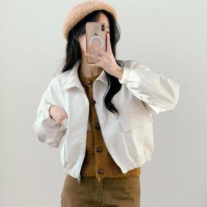 [기타]크롭 허리밴딩 투웨이 카라 블루종 심플 자켓