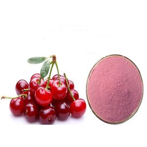 타트체리농축분말 1kg