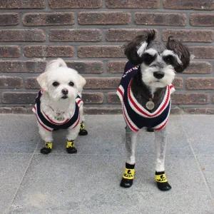 강아지 방수 양말 겸 신발/3color 애견 소형견 산책용