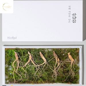 10년근 횡성 S급 산양삼 2뿌리 (공단보자기 포함) 인삼선물세트