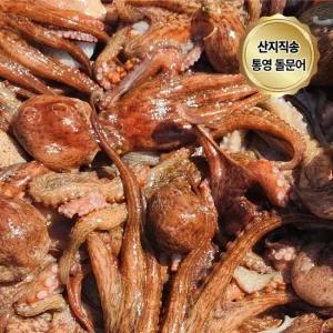 100  자연산 국산 통영 돌문어 2kg  1-6미)