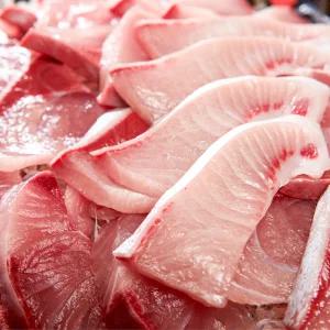 [해동찬가] 살이 제대로 오른 제철 대방어회 500g