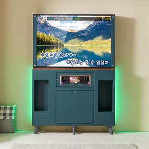 태진 갤럭시 블랙라벨 조명 노래방 PDP 케이스 세트 BL-4300LS 가정용 노래방기계