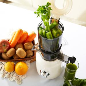 더 퀸 벨로 착즙기 원액기 쥬서기 슬로우 주서 간편세척 녹즙기