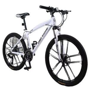 자전거 경량 산악 속도 티타늄 남성용 성인 접이식 입문용 MTB 오프로드 스포츠 26인치 상품