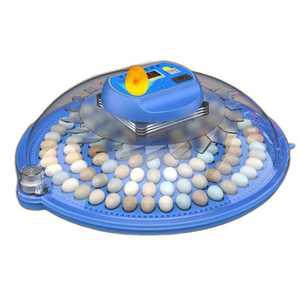 도마뱀 부화기 거북이 알 소형 가정용 게코 부화상자 1. 스마트 싱글 배터리 33개 (소형알)