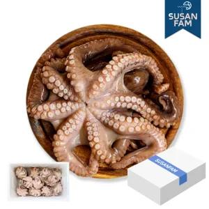 세척문어 문어홀클린 10kg 모리타니아 박스 냉동 손질문어 돌문어