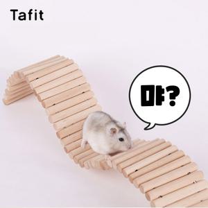 (best) 타핏 골든 드워프 햄스터 장난감 울타리 계단 집꾸미기