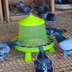 닭모이통 사료 원형 양계장 거위 물통 닭 자동 급식기