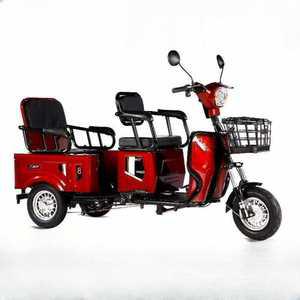 삼륜 스쿠터 세발 오토바이 다인승 전동 노인전동차