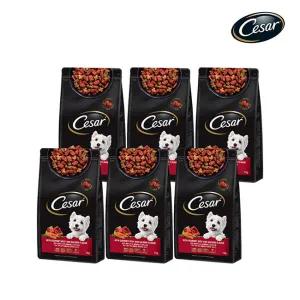 아트박스/시저 시저 연어와 최상급쇠고기 1KG 6개