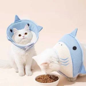 애완견 중성화 넥카라 헤드 기어 애완묘 물림방지