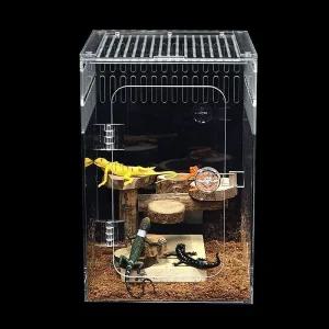 조이앨빈 크레아크릴사육장 202030 도마뱀집