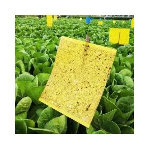 루미나D 초파리 트랩 쌀 집 벌레 하루살이 제거20x25cm