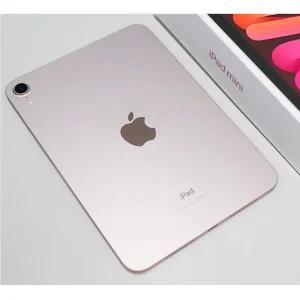 Apple 아이패드 미니 6세대 핑크 64GB WiFi전용 - 가나다