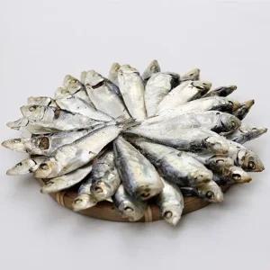 고품질 TC 밴댕이 디포리 1.5kg AA급 7-9 사이즈 김장육수 (WFJKUUH)