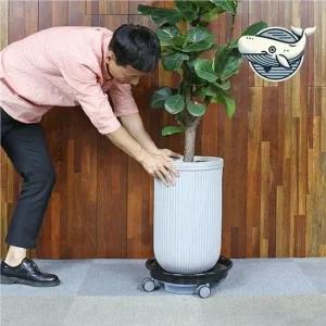 이동식 원형 화분받침대 실내 화초 관리 중형 홈가드닝 바퀴달린 물받침 화분받침대 샵 화분관리