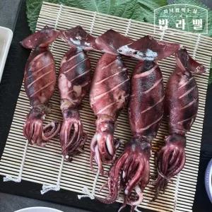 통찜용 미니오징어 빙장포장 원양산 급냉 500g 1kg 택1