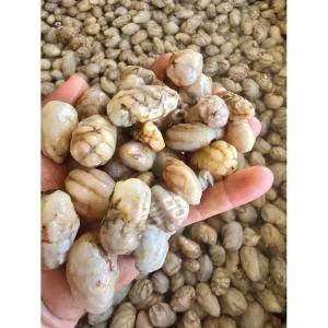 당일 국내산 생물 오만둥이 미더덕 최상급 아이스팩 포장