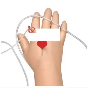 피부모형 연습용 간호사 조무사 정맥 스킨 팔뚝 모형 정맥 짧은 팔