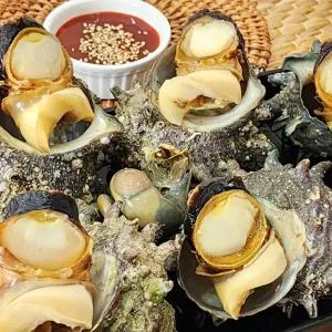 [하라네]통영 자연산 뿔소라 제철 활소라 2kg