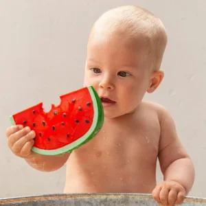 올리앤캐롤 월리수박 234590