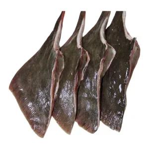 어부백서 군산 참 홍어날개 홍어회 홍어무침 홍어찜 홍어탕 1kg 바다의 신선함을 그대로