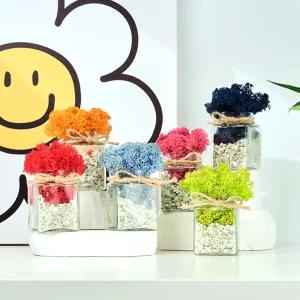 스칸디아모스 공기정화식물 인테리어 플랜테리어 유리 화분 1P