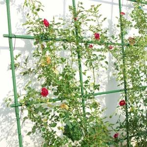 철제 넝쿨 지지대 식물 펜스 빈티지 아치 정원 스탠드