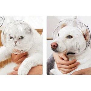 애견투명헬멧 충돌방지 노견 쉴드링 모자 머리보호