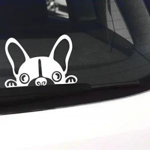 차량용 초보운전 스티커 희망 안전운전 안내 페리토린다 자동차 초보운전 캐릭터스티커